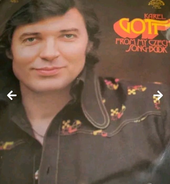 Дългосвирещи грамофонни плочи.