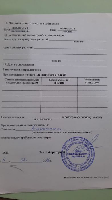 Семена люцерны сорт Семиречье,Джеа(Кара Балта) Джеа оригинал