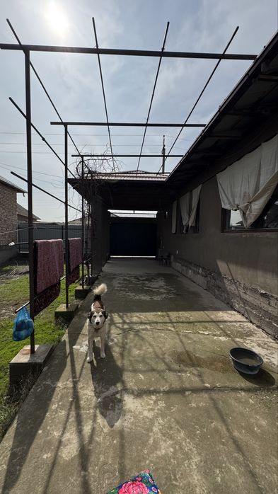 Продаётся участок с домом