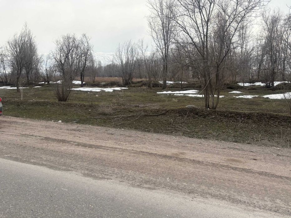 участок 100 соток (1 Га)