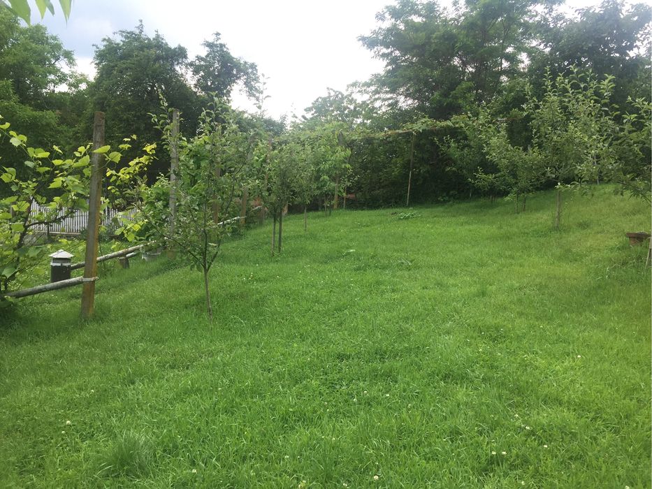 Teren Rm. Vâlcea, central- Știrbei Vodă