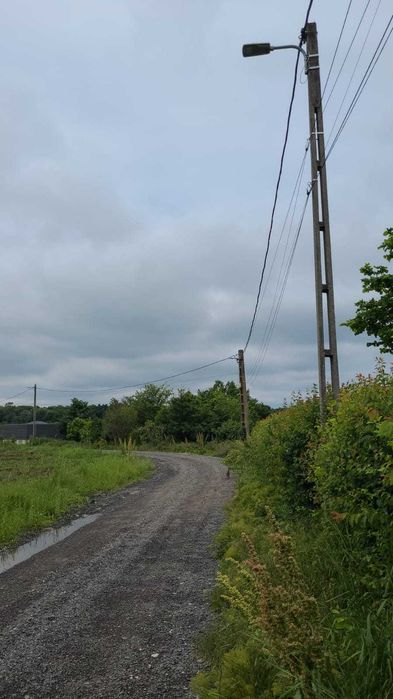 Teren langa padure, 5650 mp, 30 km de Bucuresti