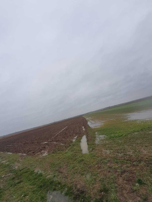 Vând teren extravilan 2,5 hectare