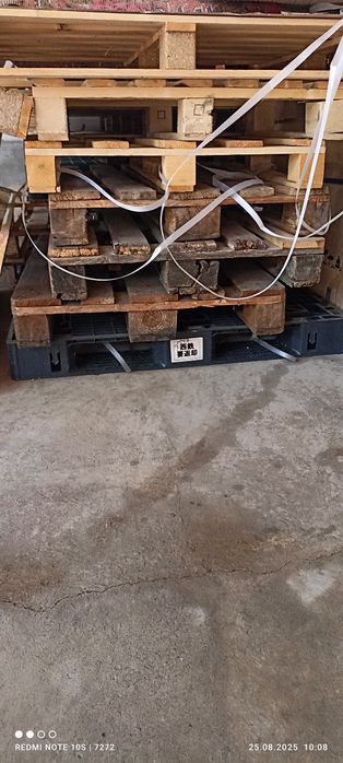 Paddon xar xil turdagi