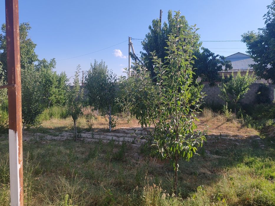 Срочно ер участка сотилади