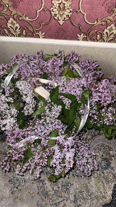 Жана новый.                                     Ими.