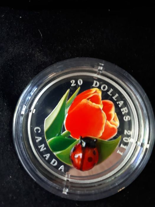 Коллекционная монет, Канада, 2011