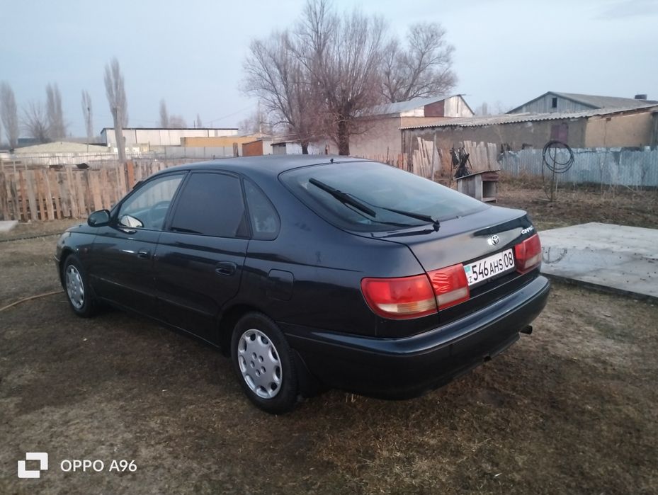 1995ж Карина е  сатылады