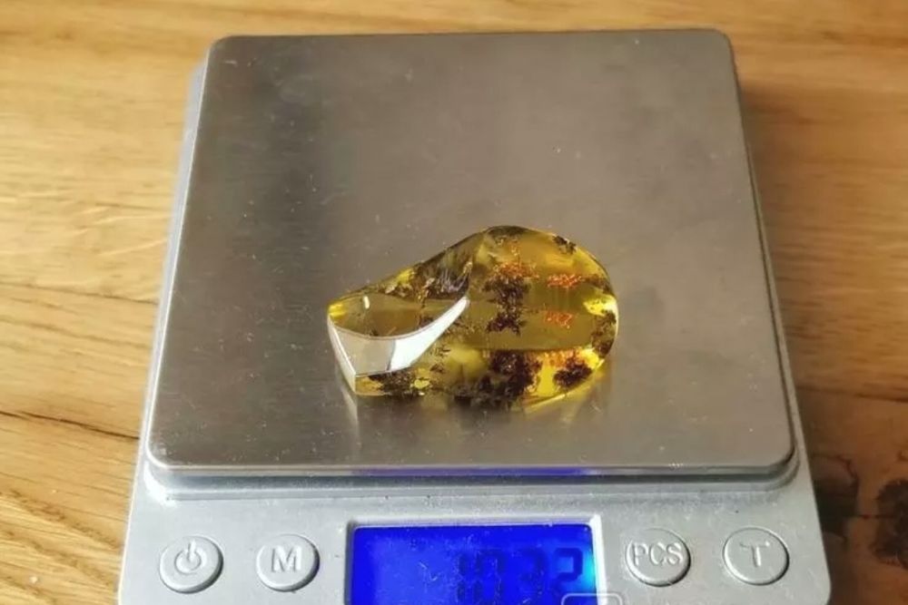 Красиво парче Балтийски кехлибар с множество скупчени насекоми