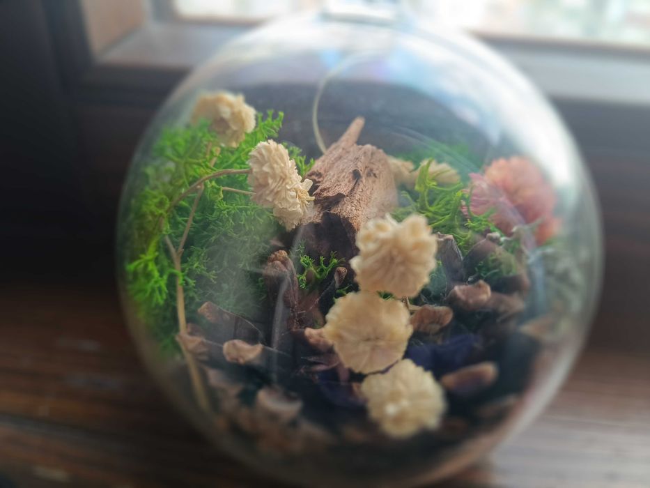 Ръчно изработени картини от скандинавски мъх и естествени материали