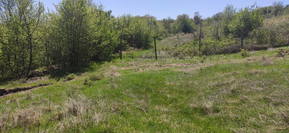 Продава се Земеделски имот в с. Соколяне, Област Кърджали -  кв.м за 510 €/дка - Снимка #4