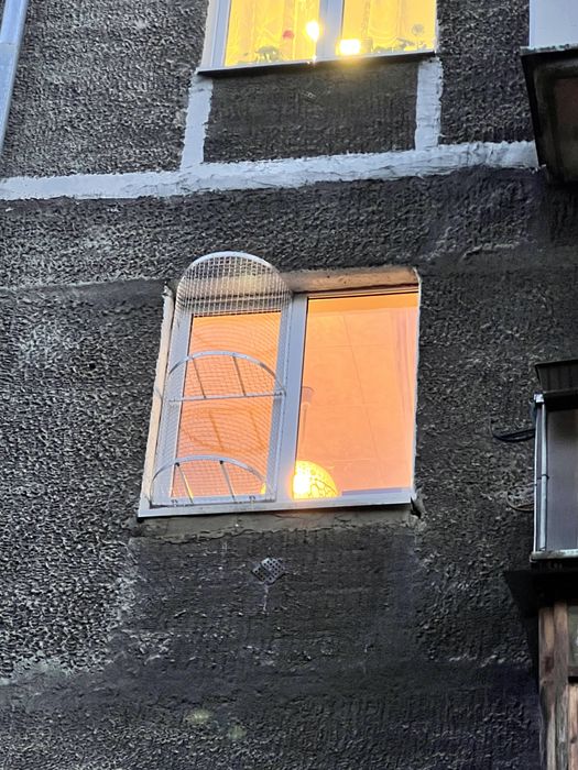 Балкон для кошек на окно