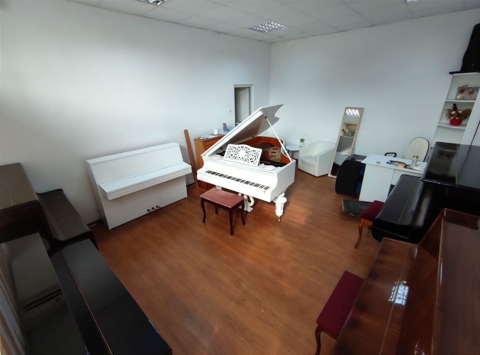 Piane & pianine, pe alb sau pe negru (transport gratuit, garanție)