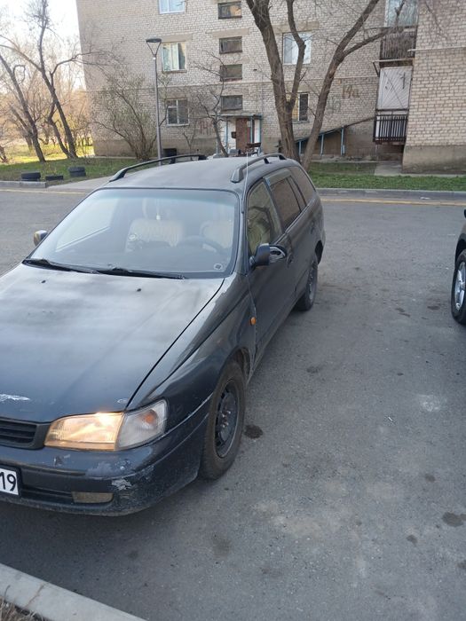 Таета карина дороло