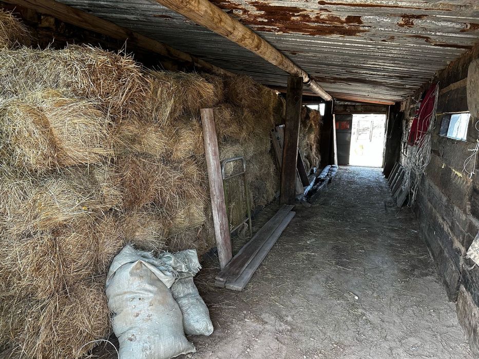 Ауыл шаруашлыгы сатылады