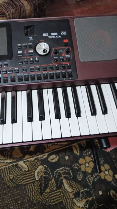 Vand Korg pa1000