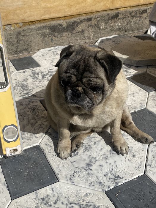 Укладка брусчатка