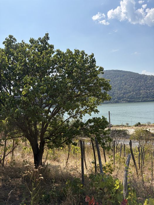 Vand  teren intravilan berzasca dn 57