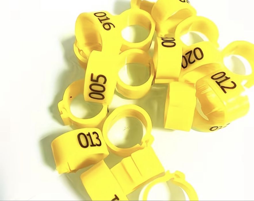 Inele porumbei personalizate