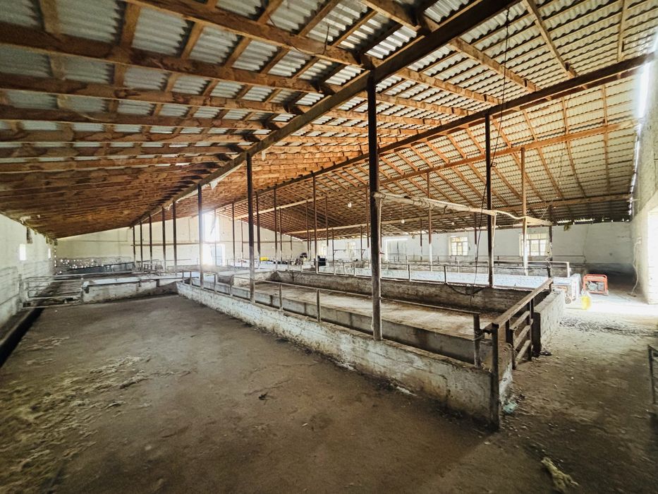 Ferma  ijaraga  joy sharoitlari bor