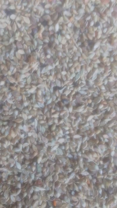 Отходы Зерноотходы Отруби Полова Овёс