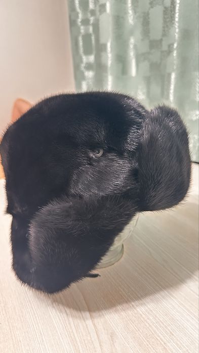 Продам ушанку мужскую!