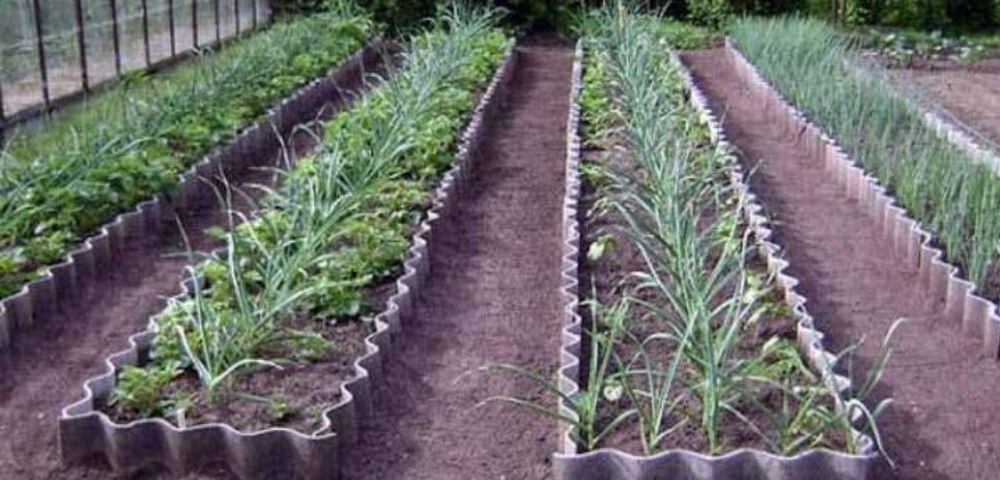 Грядки обделанные шифером. Шиферные грядки. Грядки обделанные шифером. Грядки из плоского шифера. Ограждения для грядок из шифера.