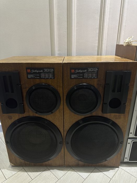 Звуковая система Электроника 130, 170, Victor