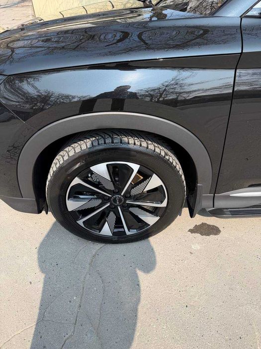 BYD Champion Reystaling