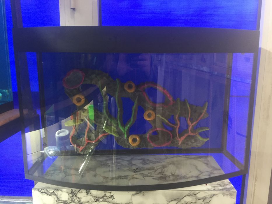 Авални аквариум Узбекистан