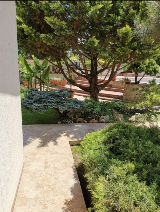 Amenajare si intretinere gradini AMO GARDEN