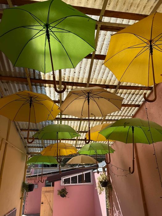 Umbrele decorative colorate, cu mâner de lemn