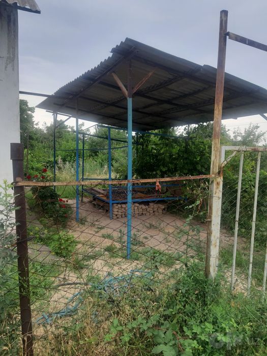 Продается дача на ташморе хороших ценах