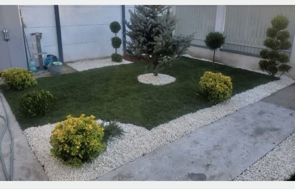 Gazon Rulou- Inalta calitate