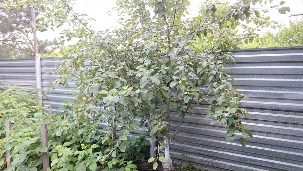 Продажа 2-комнатной квартиры