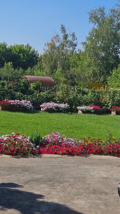 Срочно продам дачу 6 соток