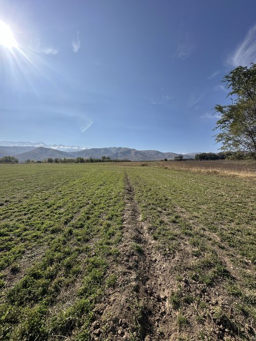 Продам участок 7.4 сотки в СНТ