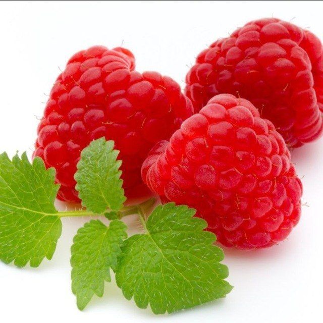 Malina ko'chatlari sotiladi ishonchli