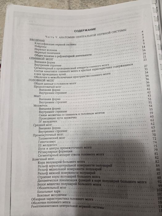 Анатомия нервной системы Синельников