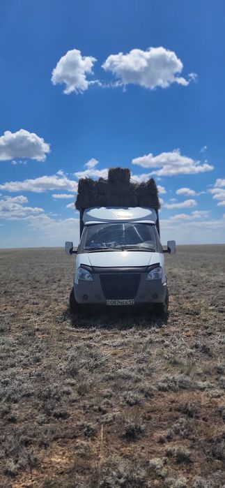 Шөп сатылады теріс жағанікі