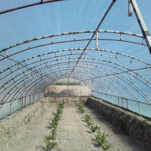 Barcha turdagi tom yopish xizmati