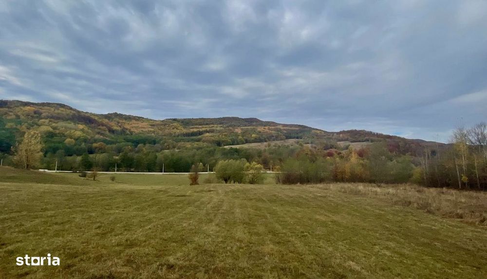 Teren larg 2 ha, la padure, panoramic dealuri si rau, cu curent, DJ