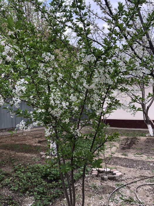 Продам дом с мансардой