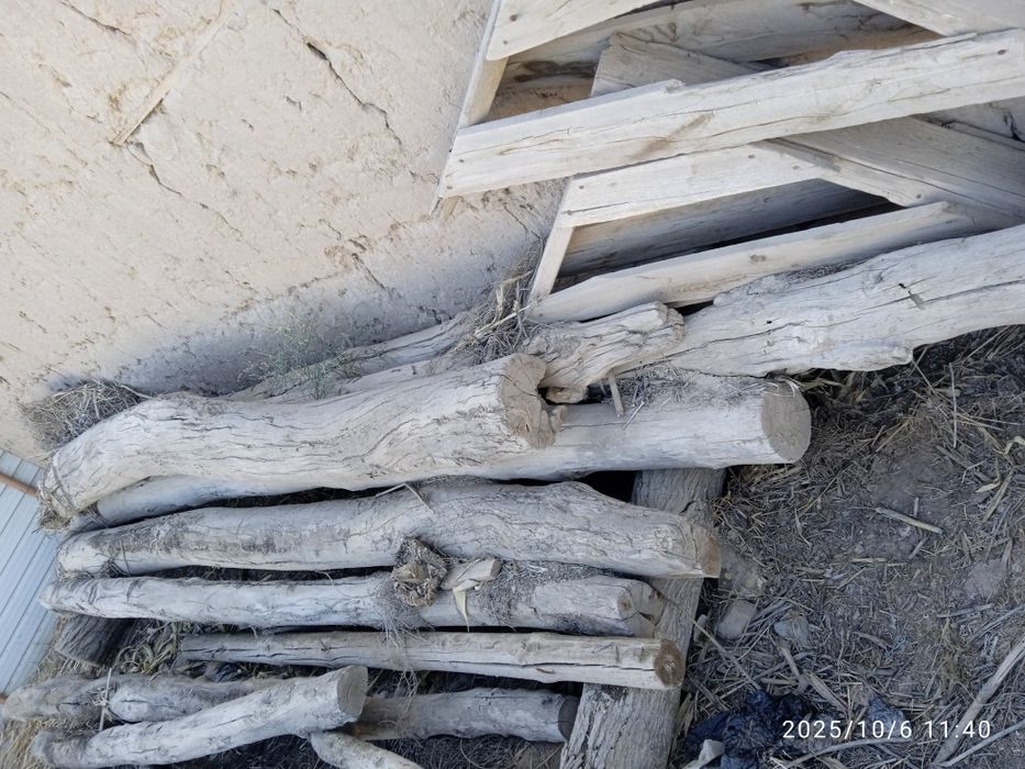 Оғочлар сотилади