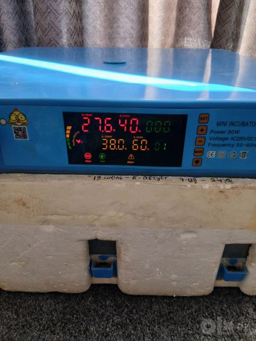 Inkubator sotiladi yaxshi ishlidi 64 tali