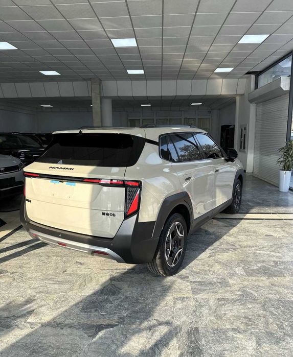 Dongfeng Nammi 06 2026