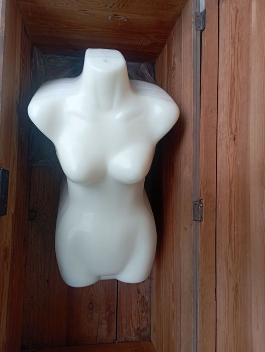 Maniken sotiladi, yengi