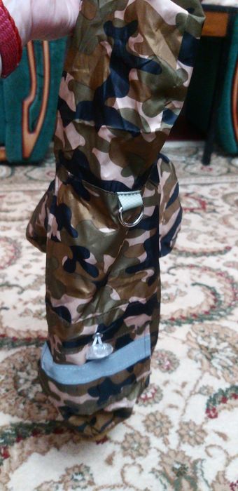 Одежда на осень для мелких пород