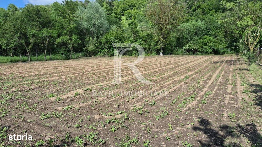 Casa cu 6 camere | Sitani | Bihor