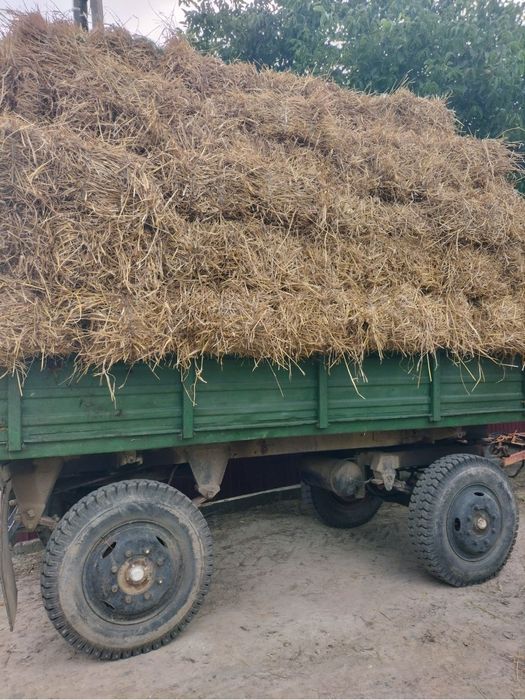 Vand baloți de paie